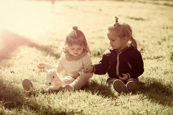 Брат і сестра грають з іграшковим конем в сонячний день — стокове фото