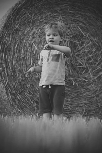 Menino carrinho na fazenda com fardo de feno — Fotografia de Stock