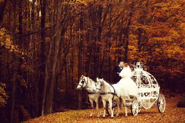 Свадебная пара в карете — стоковое фото