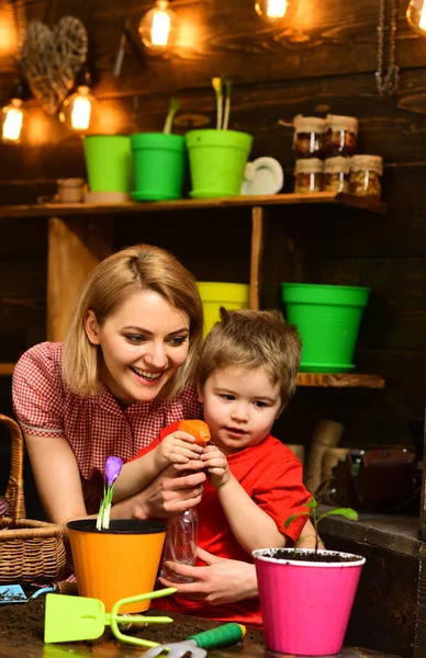 Büyüyen kavramı. Küçük çocuk ve Genç yağmurlama anne tencereye büyüyen bitki. Büyüyen esrar bitki. Aktif büyüme mevsimi — Stok fotoğraf