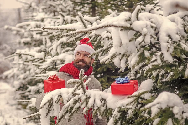 Hipster santa na árvore de Natal na floresta de inverno nevado . — Fotografia de Stock