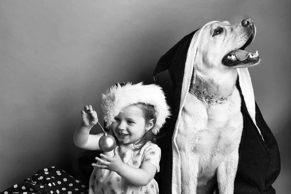 Різдвяна дівчинка з собакою-лабрадором — стокове фото