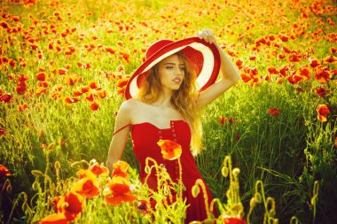 şapka kırmızı haşhaş alanı ile güzel kız