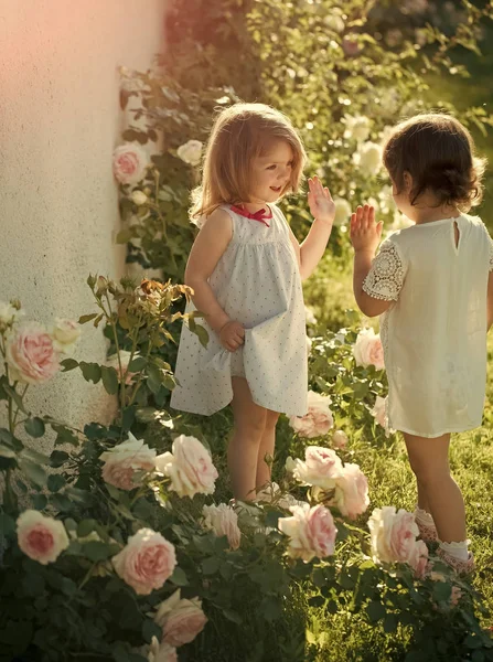 Дві дівчини посміхаються квітучими трояндовими квітами — стокове фото