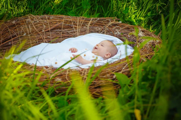 Feliz bebé en cuna de mimbre. Pequeño bebé feliz sonriendo despierto. Niña o niño relajarse en la hierba verde. Feliz infancia. Feliz y despreocupado —  Fotos de Stock