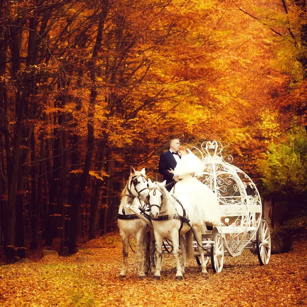 Wedding couple in carriage