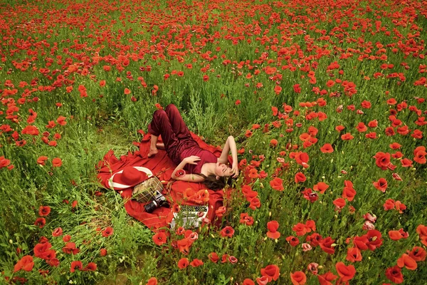 Amapola, recuerdo o día de Anzac . — Foto de Stock