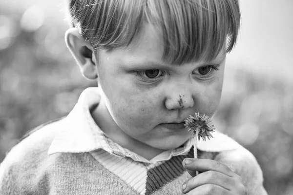 Lindo chico huele a flor —  Fotos de Stock
