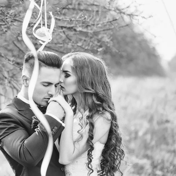 Весільна пара і стрічки на дереві — стокове фото