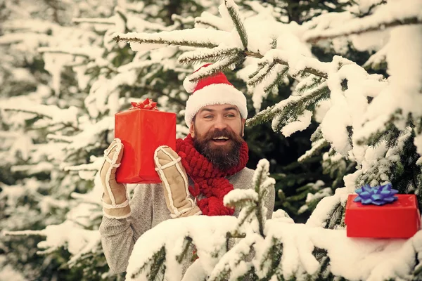 Natal homem feliz segurar caixa de presente na floresta de inverno nevado — Fotografia de Stock