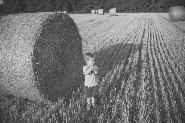 干草の男の子 — ストック写真