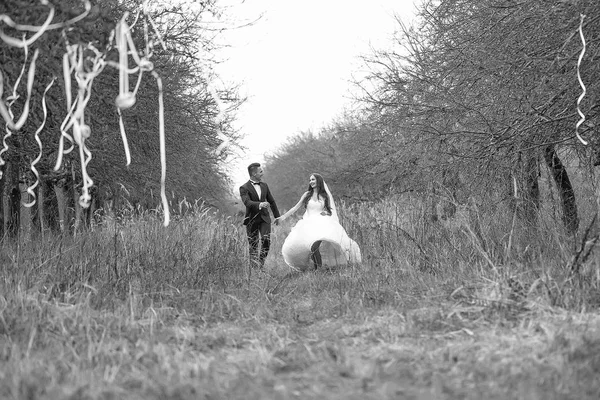 Glückliches Hochzeitspaar — Stockfoto