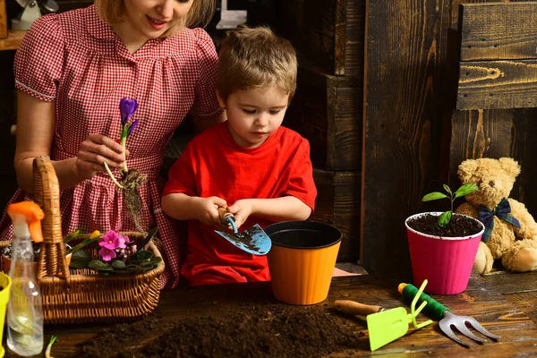 肥料のコンセプトです。小さな子供は、ポットに肥料を置きます。土の新しい緑の植物のための肥料。有機肥料 — ストック写真