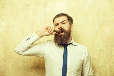 hipster ciddi bir yüz yasaktır puro üzerinde