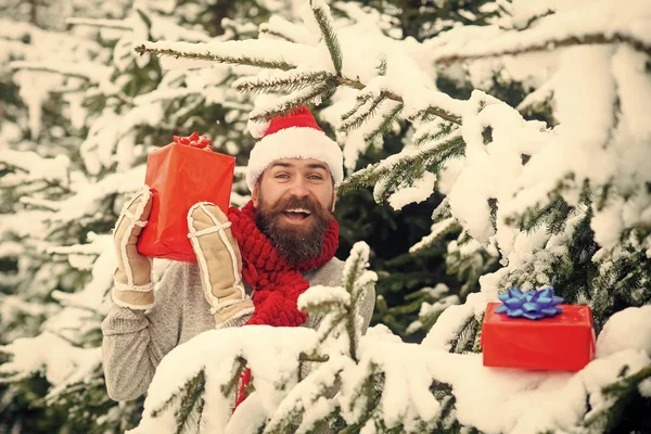 Homme Barbu Chapeau Père Noël Nouvel Noël Homme Heureux Avec — Photo