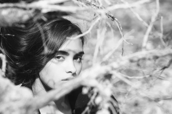 葉のない木の枝に隠れている女の子 — ストック写真