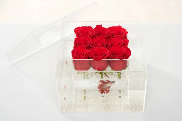 Aquarium with fish and roses. Flower shop. red rose bouquet in box. Love and passion. Floral design. Valentines day present. rose in water in transparent vase. flower delivery. copy space.