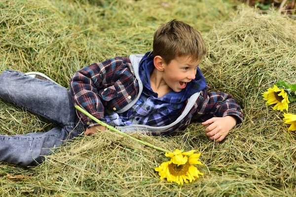Just relax. Little child relax in hayloft. Little child lying in hayloft in countryside. A wonderful way to relax