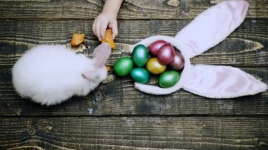 Paskalya yumurtaları ahşap arka plan üzerinde. Tavşan yumurta ile ahşap bir masa havuç ile beslenirler çocuklar el kapatın. Mutlu Paskalya bahar zamanı. Ahşap arka plan üzerinde yumurta ile tavşan.