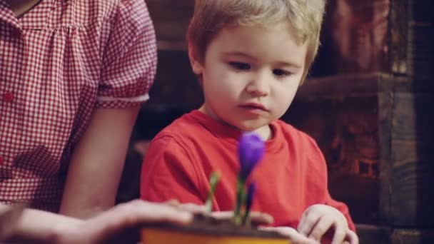 Menino bonito ajuda sua mãe a cuidar de plantas. Mãe e seu filho se envolveram em jardinagem no quintal. Conceito de primavera, natureza e cuidado. Close up de um menino que ajuda a mãe a plantar flores . — Vídeo de Stock