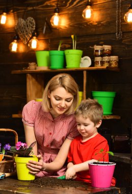 Yetiştirme kavramı. Küçük çocuk annesi yetiştirme çiçek yardımcı. Anne ve oğlu bitki yetiştirme beslemek. Yetiştirme genç çocuk
