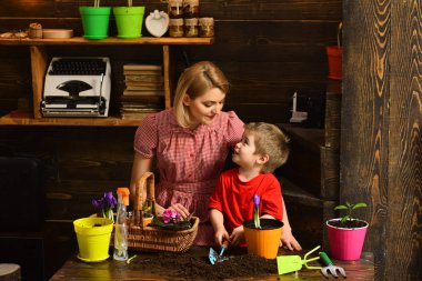 Houseplant kavramı. Anne ile houseplant yardım küçük oğlu. Çocuk ve anne toprak çömlekçilik içinde houseplant dikim. Houseplant bakım