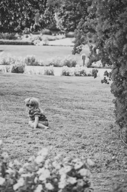 pembe çiçekler yakınındaki yaz bardaklarda çimenlerin üzerinde küçük çocuk