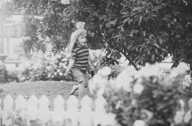 cep telefonu ile çimenlerin üzerinde ahşap çit, küçük çocuk