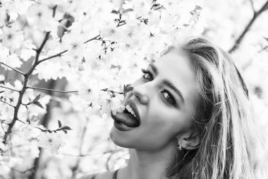 Kız yalama çiçeği