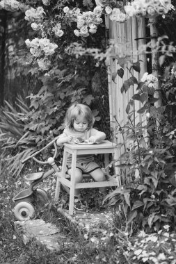 küçük çocuk gül bush yeme