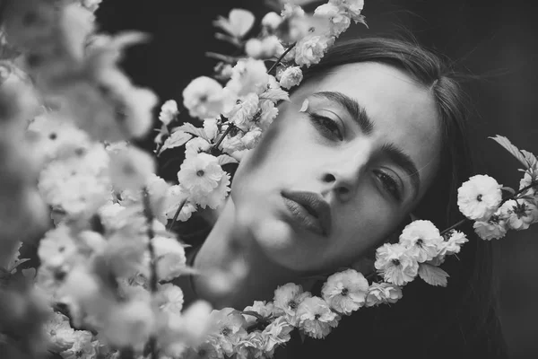 Bahar gününde çiçek açması sakura kızla