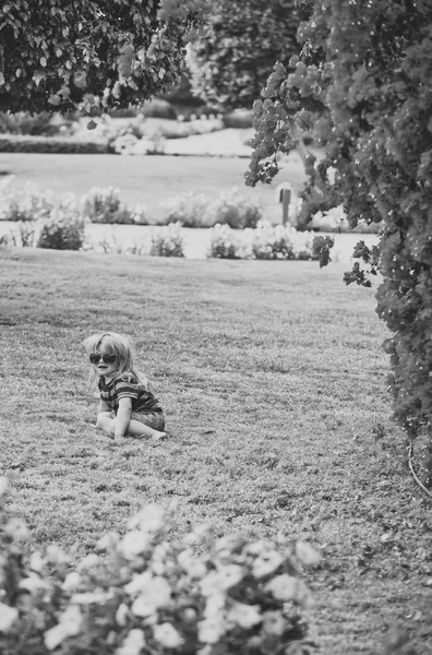 夏グラス ピンクの花の近くに芝生の上の少年 — ストック写真