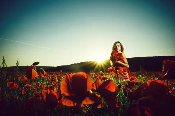 Woman in field of poppy seed — Stock Photo, Image