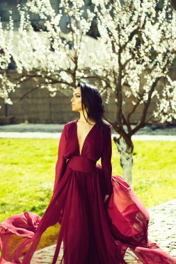 Çiçeklenme tree yakınındaki kız