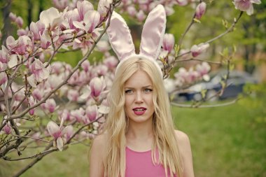 Bahar, doğa ve çevre.