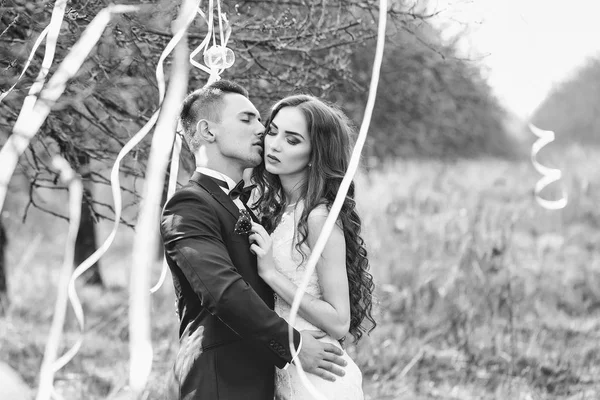 Couple de mariage et rubans sur l'arbre — Photo