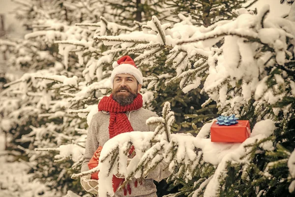Hipster santa Noel ağacının karlı kış orman. — Stok fotoğraf