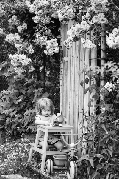 small boy eating near rose bush