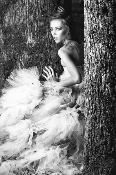 Красива дівчина біля дерева — стокове фото