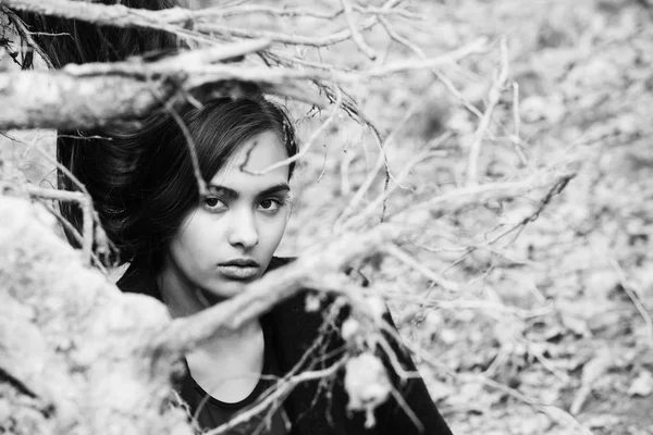Roztomilá dívka schovává v holé větve stromů — Stock fotografie