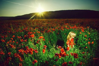 sıcak yaz aylarında haşhaş sahada şirin küçük çocuk