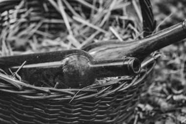 Piknik sepeti şişelerde