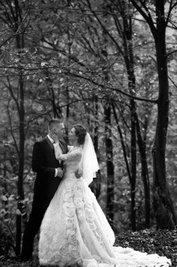 Düğün iki orman içinde