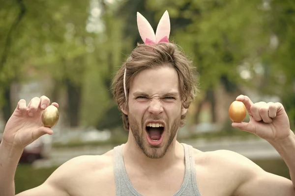Erkekte altın yumurta ile pembe kulaklar — Stok fotoğraf