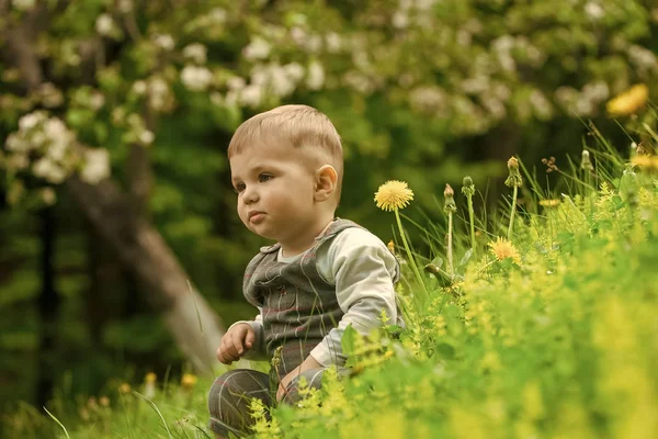 Το παιδί στο πάρκο με άνθηση πικραλίδα λουλούδια και δέντρα — Φωτογραφία Αρχείου