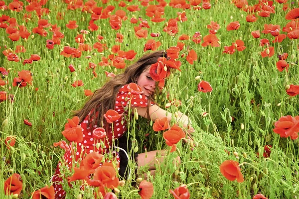 Poppy, Dodenherdenking, Anzac Day. — Stockfoto