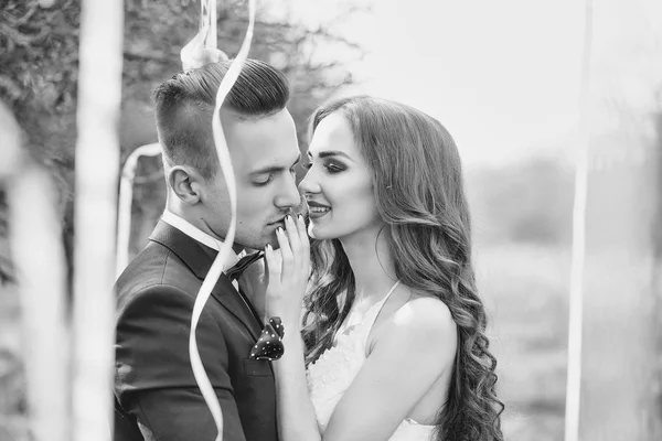 Wedding couple and ribbons on tree — Stock Photo, Image