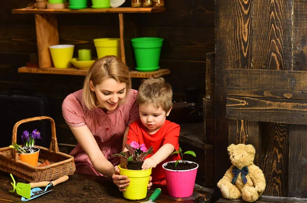 Yaz konsepti. Anne ve çocuk bitki çiçek yazın. Anne ve oğlu yaz bitki çömlekçilik. Yaz eğlence sadece başladı — Stok fotoğraf