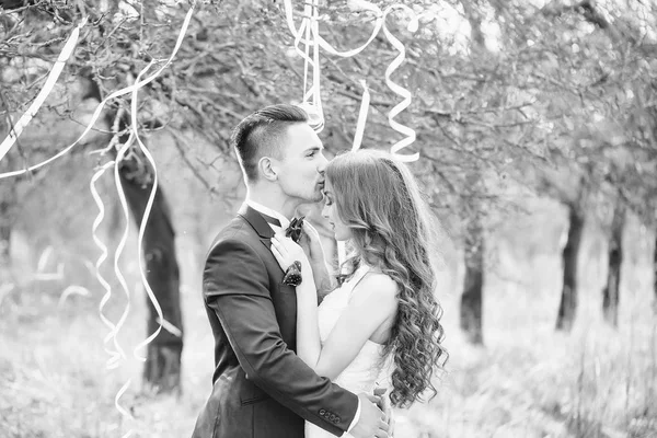 Wedding couple and ribbons on tree — Stock Photo, Image