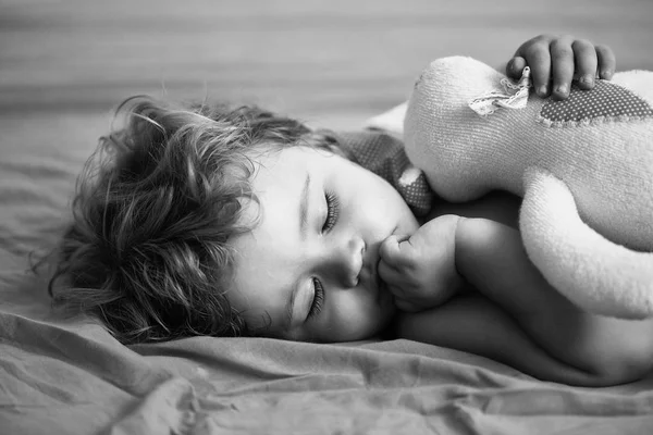 Bonito menino dorme — Fotografia de Stock